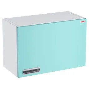 настенный лабораторный шкаф forlab шлн-02-00